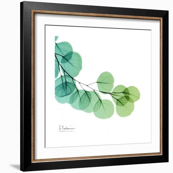 Eucalyptus Green-Albert Koetsier-Framed Art Print