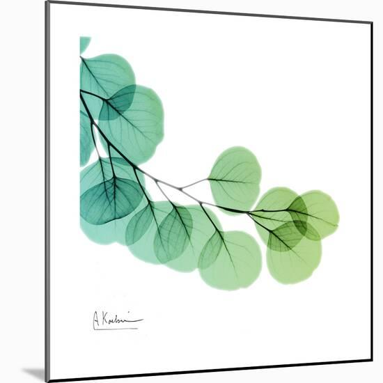 Eucalyptus Green-Albert Koetsier-Mounted Art Print
