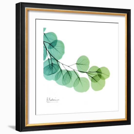 Eucalyptus Green-Albert Koetsier-Framed Art Print