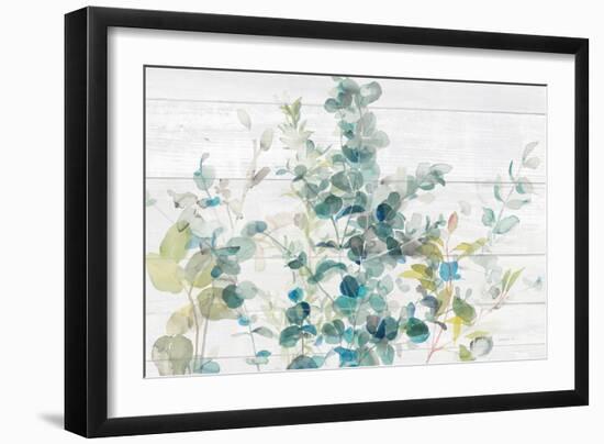 Eucalyptus I on Shiplap Crop-Danhui Nai-Framed Art Print