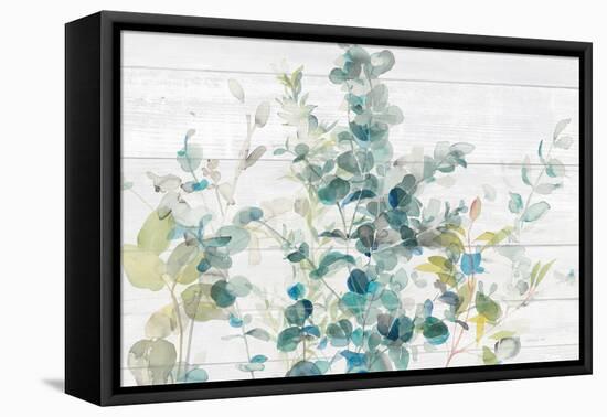 Eucalyptus I on Shiplap Crop-Danhui Nai-Framed Stretched Canvas