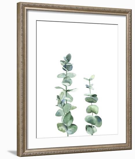 Eucalyptus I-Ann Solo-Framed Art Print