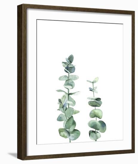 Eucalyptus I-Ann Solo-Framed Art Print