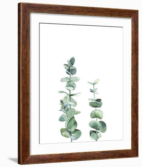 Eucalyptus I-Ann Solo-Framed Art Print