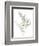 Eucalyptus II White-Danhui Nai-Framed Premium Giclee Print