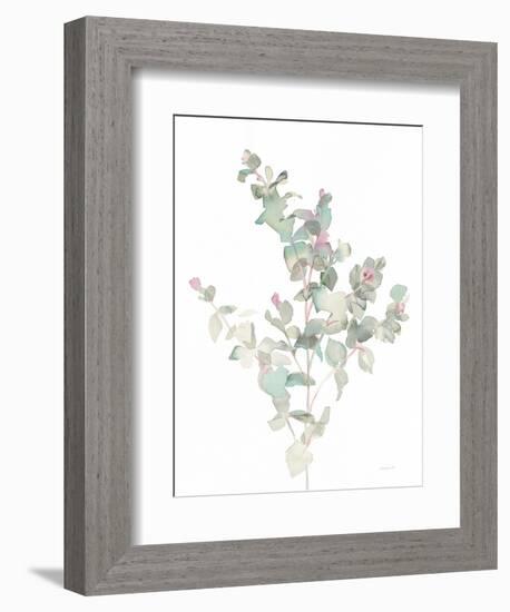 Eucalyptus II White-Danhui Nai-Framed Premium Giclee Print