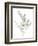 Eucalyptus II White-Danhui Nai-Framed Premium Giclee Print