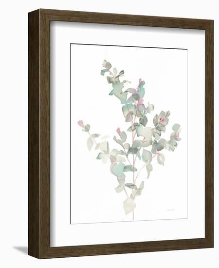 Eucalyptus II White-Danhui Nai-Framed Premium Giclee Print