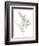 Eucalyptus II White-Danhui Nai-Framed Premium Giclee Print