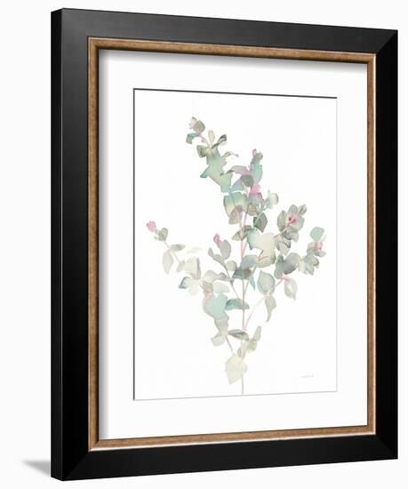 Eucalyptus II White-Danhui Nai-Framed Premium Giclee Print