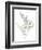 Eucalyptus II White-Danhui Nai-Framed Premium Giclee Print