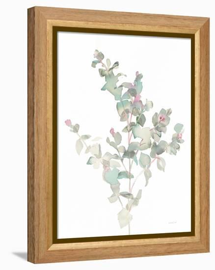 Eucalyptus II White-Danhui Nai-Framed Stretched Canvas