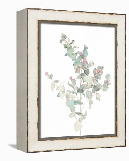 Eucalyptus II White-Danhui Nai-Framed Stretched Canvas