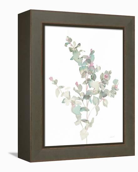 Eucalyptus II White-Danhui Nai-Framed Stretched Canvas