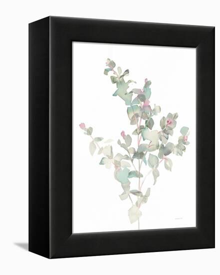 Eucalyptus II White-Danhui Nai-Framed Stretched Canvas