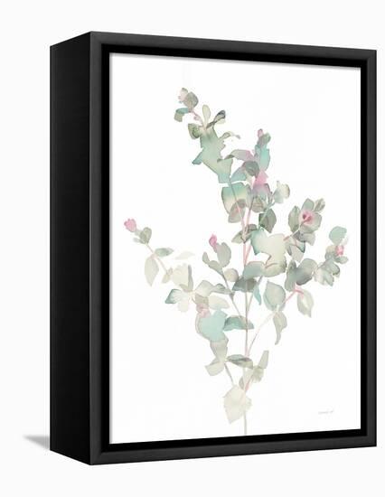 Eucalyptus II White-Danhui Nai-Framed Stretched Canvas