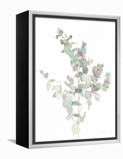 Eucalyptus II White-Danhui Nai-Framed Stretched Canvas