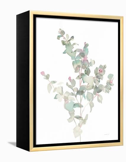 Eucalyptus II White-Danhui Nai-Framed Stretched Canvas