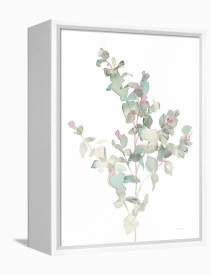 Eucalyptus II White-Danhui Nai-Framed Stretched Canvas