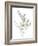 Eucalyptus II White-Danhui Nai-Framed Art Print