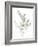 Eucalyptus II White-Danhui Nai-Framed Art Print