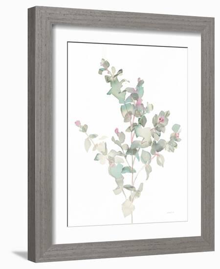 Eucalyptus II White-Danhui Nai-Framed Art Print