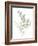 Eucalyptus II White-Danhui Nai-Framed Art Print