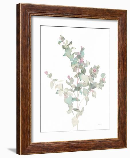 Eucalyptus II White-Danhui Nai-Framed Art Print