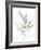 Eucalyptus II White-Danhui Nai-Framed Art Print