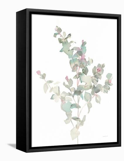 Eucalyptus II White-Danhui Nai-Framed Stretched Canvas