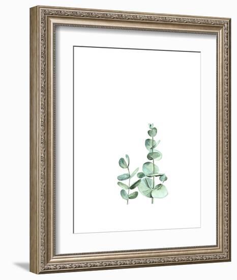 Eucalyptus II-Ann Solo-Framed Art Print