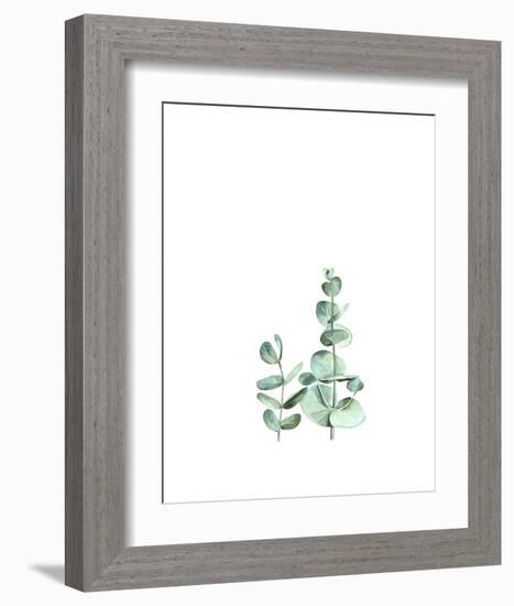 Eucalyptus II-Ann Solo-Framed Art Print