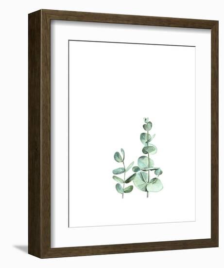 Eucalyptus II-Ann Solo-Framed Art Print