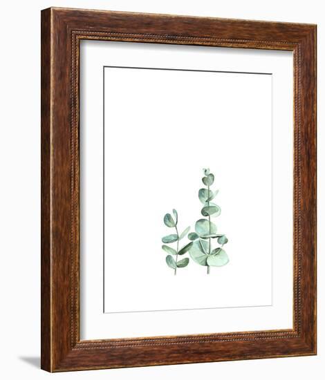 Eucalyptus II-Ann Solo-Framed Art Print