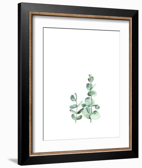 Eucalyptus II-Ann Solo-Framed Art Print