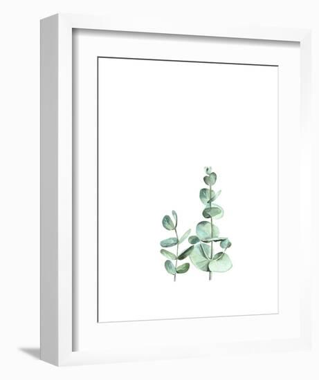 Eucalyptus II-Ann Solo-Framed Art Print