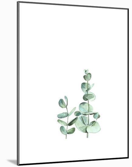 Eucalyptus II-Ann Solo-Mounted Art Print