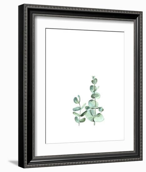 Eucalyptus II-Ann Solo-Framed Art Print