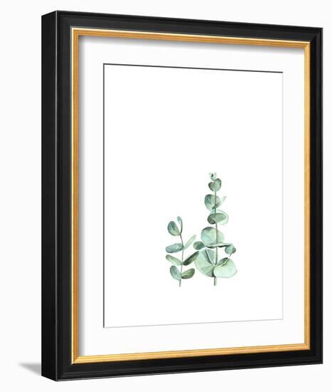 Eucalyptus II-Ann Solo-Framed Art Print