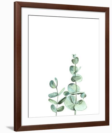 Eucalyptus II-Ann Solo-Framed Art Print
