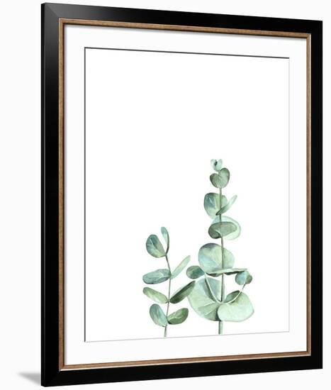 Eucalyptus II-Ann Solo-Framed Art Print