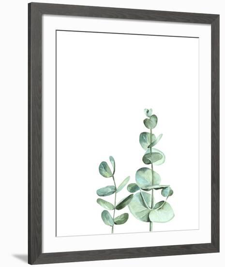 Eucalyptus II-Ann Solo-Framed Art Print