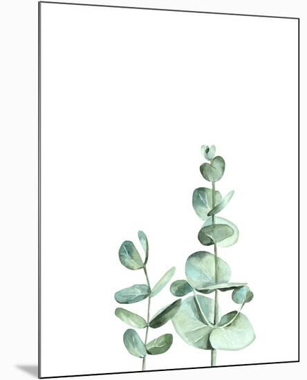 Eucalyptus II-Ann Solo-Mounted Art Print