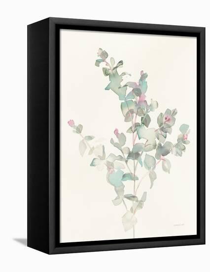 Eucalyptus II-Danhui Nai-Framed Stretched Canvas