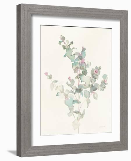 Eucalyptus II-Danhui Nai-Framed Art Print