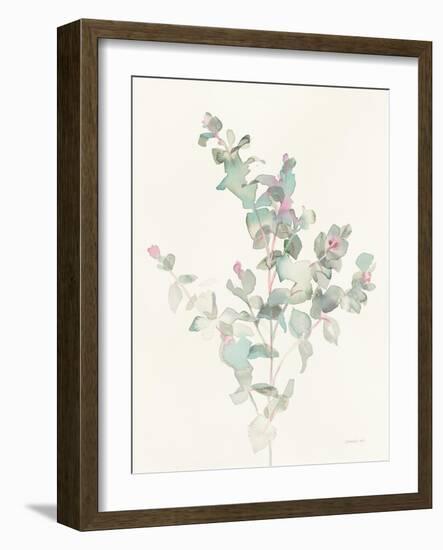 Eucalyptus II-Danhui Nai-Framed Art Print