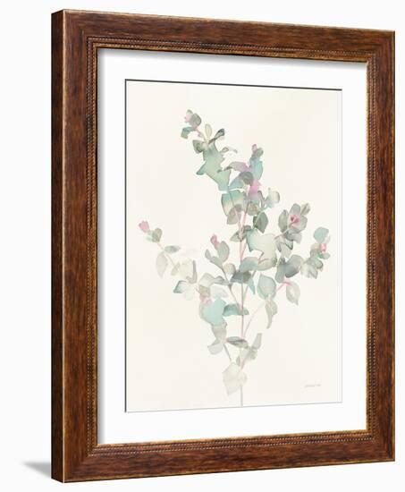 Eucalyptus II-Danhui Nai-Framed Art Print