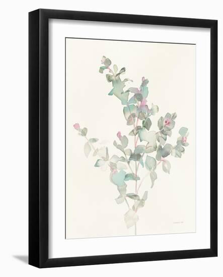 Eucalyptus II-Danhui Nai-Framed Art Print