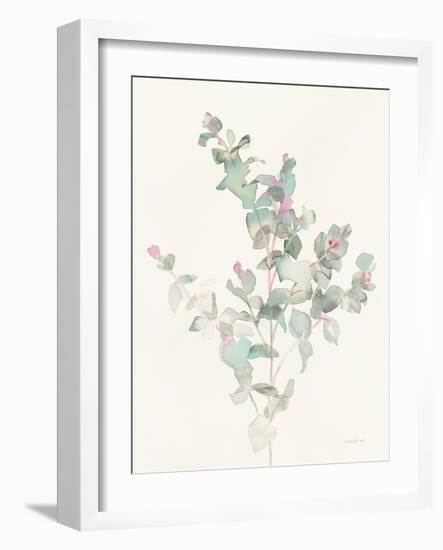 Eucalyptus II-Danhui Nai-Framed Art Print