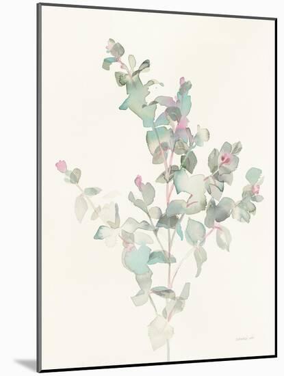 Eucalyptus II-Danhui Nai-Mounted Art Print